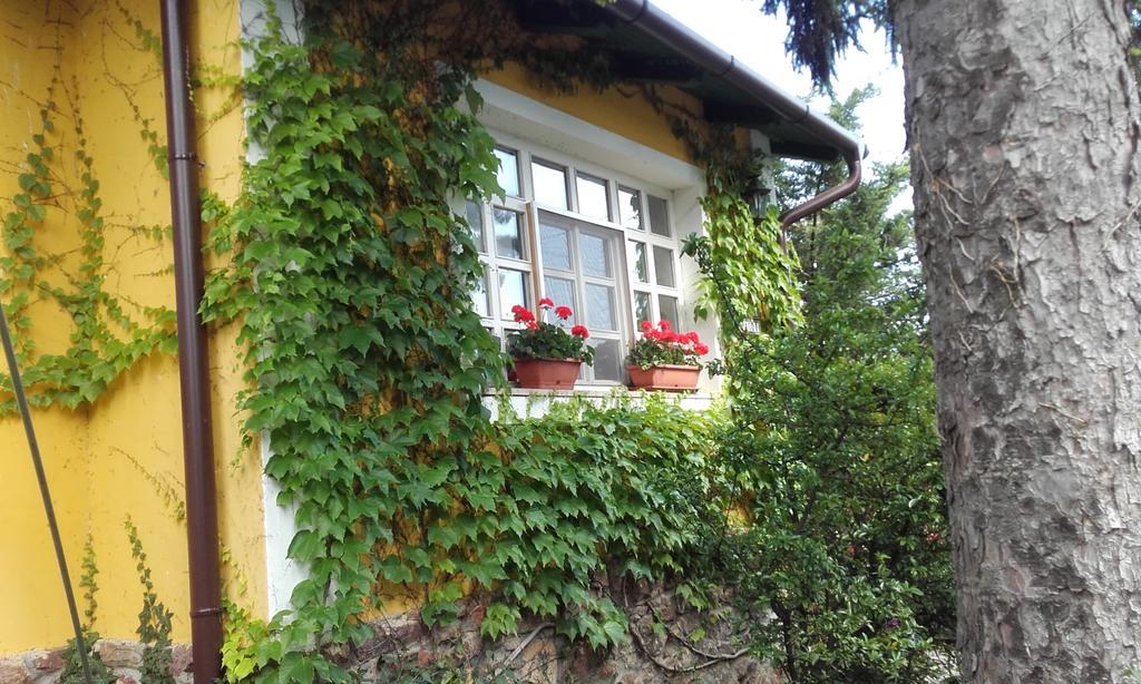Villa-Magdi Vendeghaz Révfülöp 外观 照片
