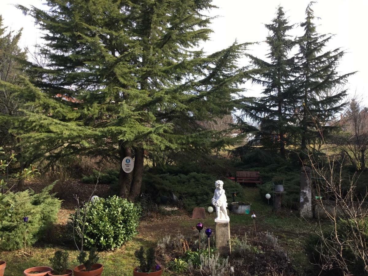 Villa-Magdi Vendeghaz Révfülöp 外观 照片
