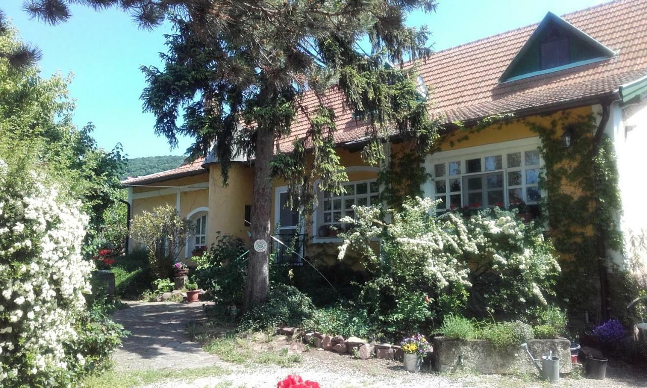 Villa-Magdi Vendeghaz Révfülöp 外观 照片